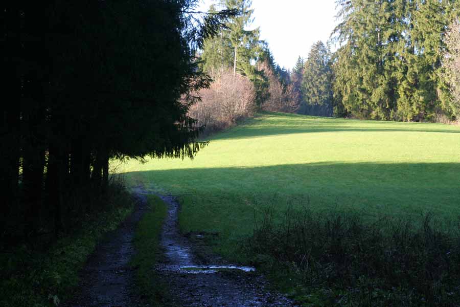 Erratischer Block bei Weiler / nach dem Wald steht man vor dem "Naturschutzgebiet Eratischer Block"