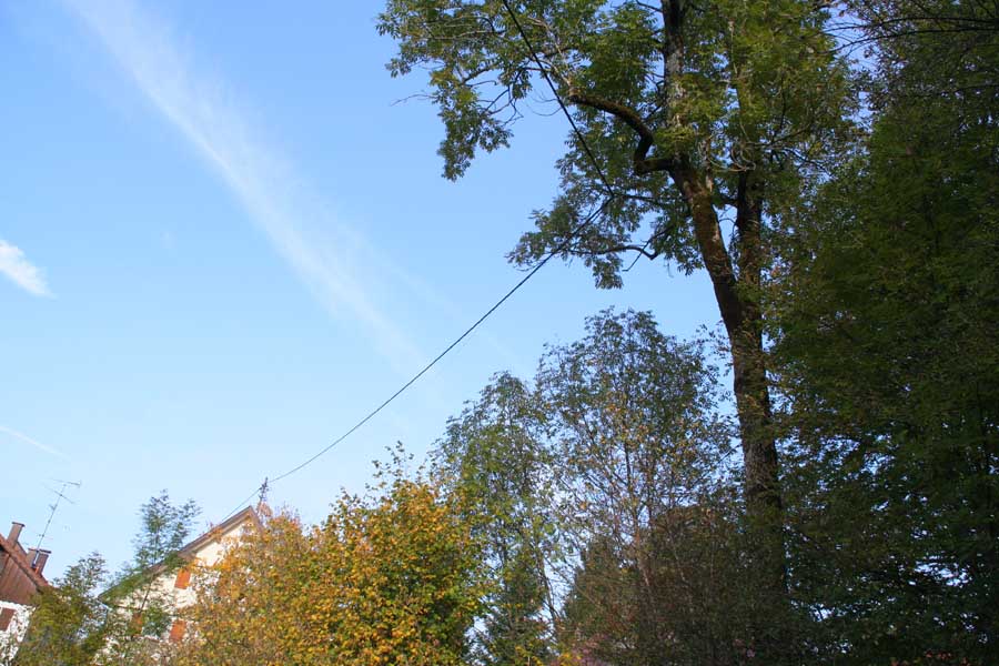 Hausbachklamm - Weiler - Lourdesgrotte - Kapfmühle / Das Westallgäu wird mit ÖKO Strom versorgt, die Masten sind auch ökologisch 